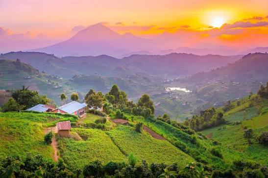 Sunset over terraced green hills in southwestern Uganda